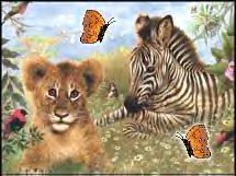 safaribabies_animatedwp_215x161.jpg