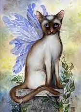 tn_n_siamese_fairy_cat_by_whytlilith.jpg